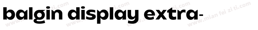 balgin display extra字体转换